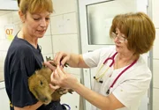 Tina (l.) und Capibara (m.)