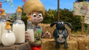 So ein Streichelzoo ist eine gute Sache, findet Schäfchen Timmy.