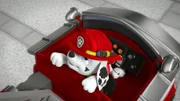Hoppla! Auch bei Marshall geht mal was schief!