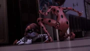 On the right: Lady Bug