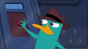 PERRY THE PLATYPUS