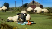 Ein Ei auf zwei Beinen? Die erste Begegnung zwischen Shaun und Gänschen Goz.