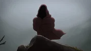 Hooded Hermit