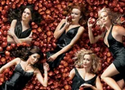(2. Staffel) - Gelangweilte Hausfrauen machen sich ihr Leben gegenseitig zur Hölle: Lynette Scavo (Felicity Huffman, 2.v.r.), Bree Van De Kamp (Marcia Cross, M.), Gabrielle Solis (Eva Longoria, 2.v.l.), Edie Britt (Nicollette Sheridan, r.) und Susan Mayer (Teri Hatcher, l.) ...