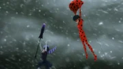 First from the right: Ladybug