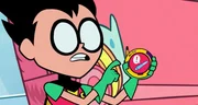Robin