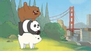 Top to bottom: Grizzly, Panda Bear, Ice Bear.