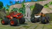 Blaze, AJ (oben), Tiger Statue (2.v.r.), Stripes (r.)