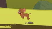 Jerry