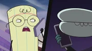 Skipper
