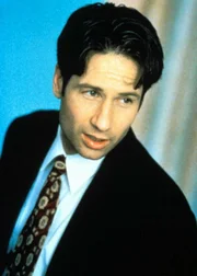 Fox Mulder (David Duchovny)