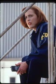 Dana Scully (Gillian Anderson)