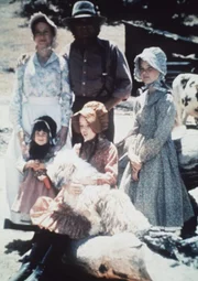 Die Eltern Caroline (Karen Grassle, hinten l.) und Charles Ingalls (Michael Landon, hinten M.) mit ihren Töchtern Mary (Melissa Sue Anderson, r.), Laura (Melissa Gilbert, vorne M.) und Carrie (Lindsay Sidney Greenbush, l.) auf ihrer Farm in Walnut Grove, einem kleinen Städtchen im Norden Amerikas.