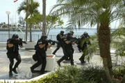 Im Mittelpunkt des Spin-Off der erfolgreichen Serie "CSI _ Den Tätern auf der Spur" steht der Bombenexperte Horatio Caine. Der mit einem fotografischen Gedächtnis und trockenem Humor ausgestattete Ermittler leitet das CSI-Team in Miami, zu dem u.a. Experten für Ballistik und DNA-Analysen gehören. Gemeinsam decken sie mit modernsten Methoden auch äußerst komplizierte Verbrechen auf.