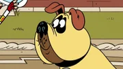 Lalo