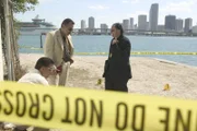 Die Dokumentationsreihe zeigt die spektakulärsten Fälle der amerikanischen Polizei, die alle eines gemeinsam haben: Sobald sie an einen Tatort gerufen werden, beginnt für die Ermittler ein Wettlauf mit der Zeit. Finden sie in den ersten 48 Stunden keinen entscheidenden Hinweis, verringert sich ihre Chance, ein Verbrechen zu lösen, um die Hälfte.