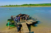 Unzählige selbstgebaute Fähren ersetzen die fehlenden Donaubrücken in Rumänien. Die Kuhfähre von Mărașu bringt seit 70 Jahren Kühe rüber auf die Donauinsel.