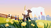 Endlich: die kleine Ziege Söckchen kehrt zu ihrer Mutter zurück.
