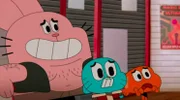 v.li.: Richard, Gumball, Darwin