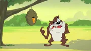 Tasmanian Devil