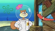 L-R: Sandy, Mr. Krabs