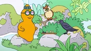 Barbasophie