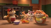 Piperita kocht mit den Buffycats ein Gericht. Dieses möchte sie von den Katzen der Gegend probieren lassen.