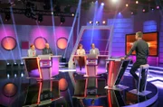 Moderator Florian Weber (rechts) testet im Wissensquiz "Meister des Alltags" die Praxistauglichkeit seiner prominenten Kandidaten (v. li.): Enie van de Meiklokjes, Bodo Bach, Alice Hoffmann, Christoph Sonntag.