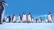 Pinguinen