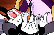 Der schelmische Bunnicula war einst das Haustier von Dracula.