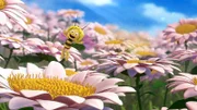 Maja hüpft über die Blumenwiese.