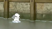 Baby Ice Bear