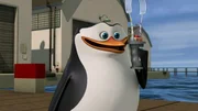 Skipper