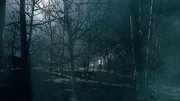 CGI: Flugzeugwrack in der Ferne durch Waldbäume gesehen.