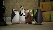 L-R: Skipper, Kowalski, Marlene, Private