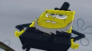 Captain SpongeHab