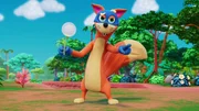 Swiper