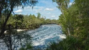 Suwannee River (USA) - Scenic view of Big Shoals