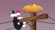 v.li.: Sylvester, Tweety