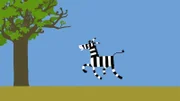 Noch hüpft das Zebra unbeschwert herum.
