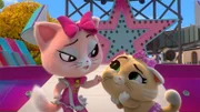 Pilou weiß einfach alles über ihre Lieblingsband 'Pinky Paws'. Als sie bei einem Fantreffen die Frage nach dem Lieblingsessen der Stars beantworten kann, darf sie den Rest des Tages mit den Künstlerinnen verbringen.