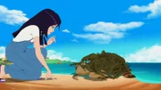 Cleo findet am Strand eine verletzte Schildkröte.