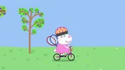 Suzy Sheep