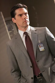Aaron Hotchner (Thomas Gibson)