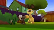 Die Odie-Eichhörnchen-Show