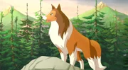 Lassie ist stets hilfsbereit.