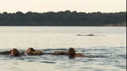Survivalisten im Wasser.