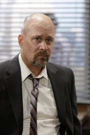 Übernimmt den Red John-Fall: Agent Sam Bosco (Terry Kinney) ...