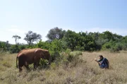 Steve Potter photographs an elephant at Sheldrick's.