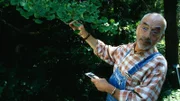 Peter entdeckt einen Ginkgo. Vielleicht ist das ja der gesuchte Baum von Onkel John?
